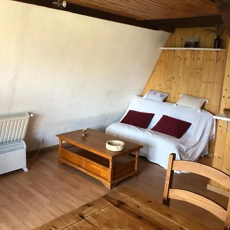 Les Jonquilles * Les Angles (Pyrenees-Orientales)