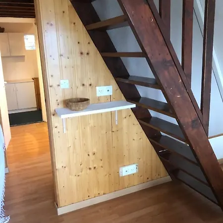 Les Jonquilles Les Angles (Pyrenees-Orientales)