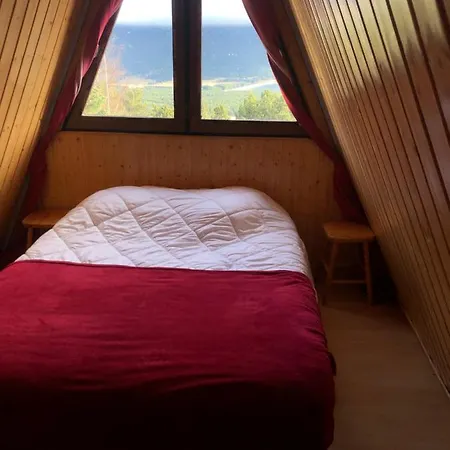 Les Jonquilles Les Angles (Pyrenees-Orientales)